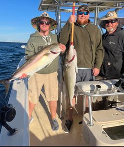 Three anglers on a boat holding large fish on a sunny day at sea