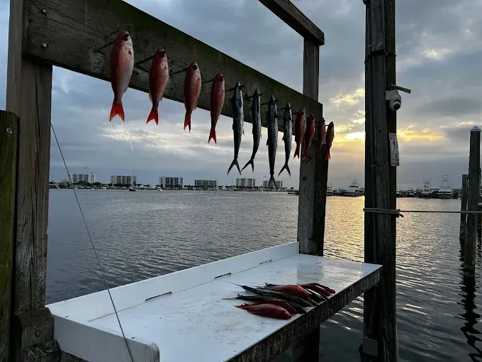 Fish hanging on a dockside rack at sunset, with more fish on a table by the water.