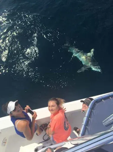 Two people on a boat look down at a shark swimming in dark blue water.