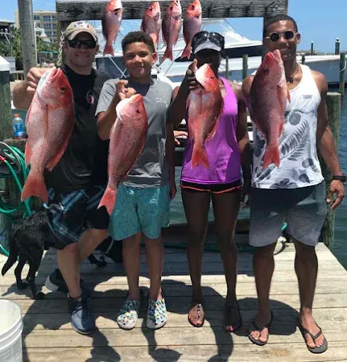 Four people holding up large red fish on a dock by the water, with a boat in the background.