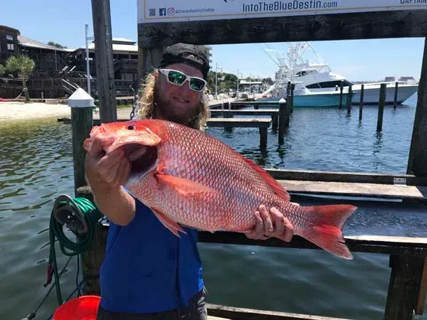 Person holding a large red fish on a dock by the water, with boats in the background