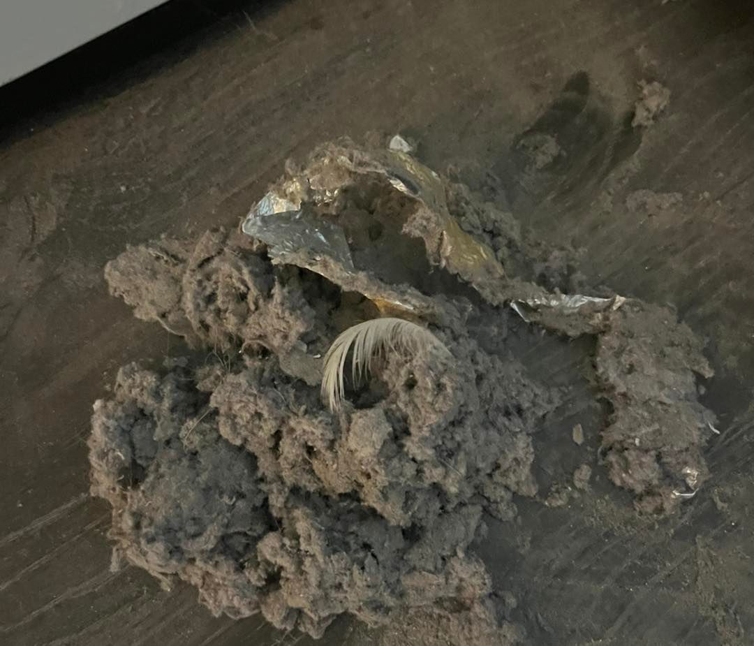 Pile of gray lint and metal pieces on a gray floor.