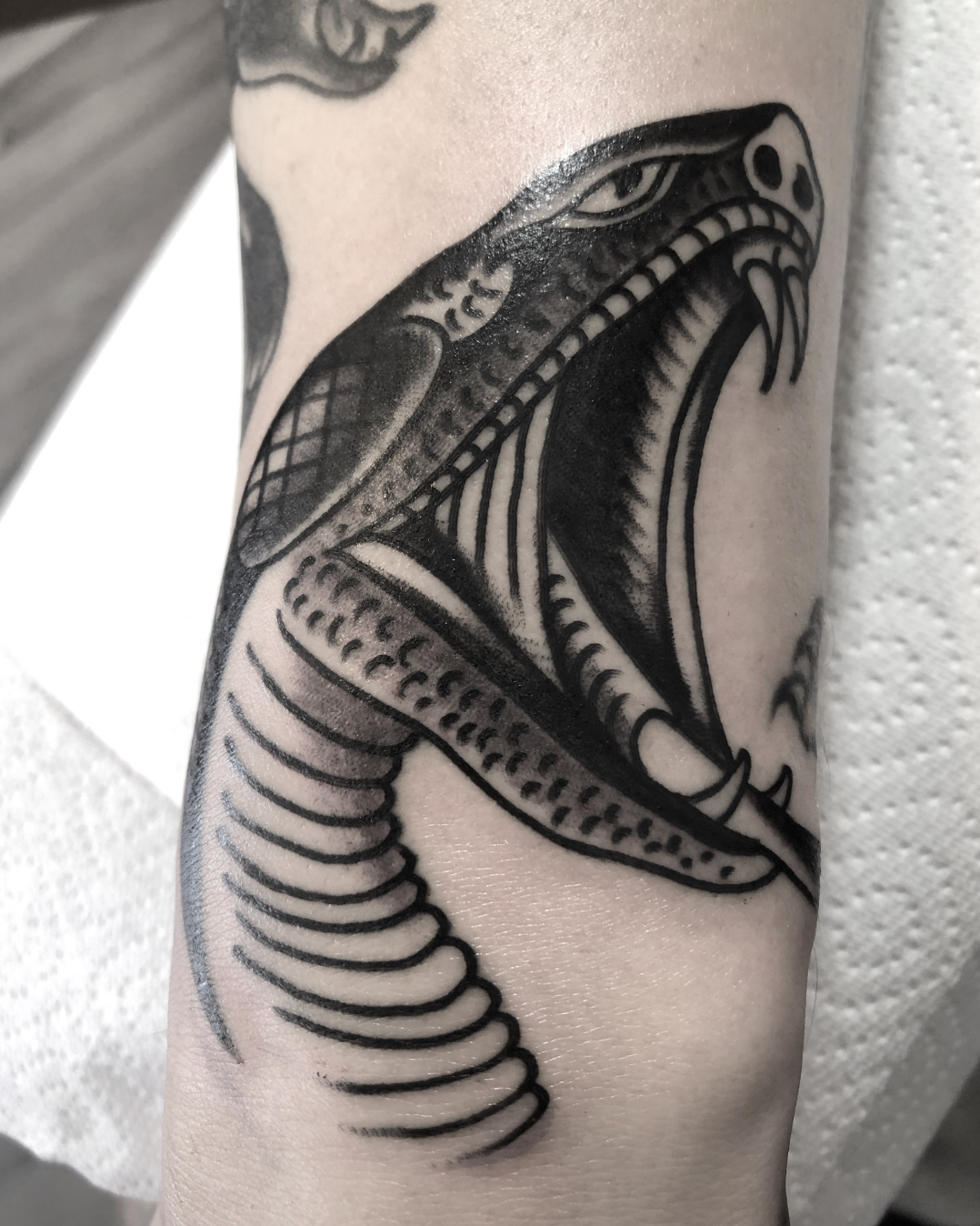 Black snake tattoo with mouth open, detailed scales and fangs on a forearm