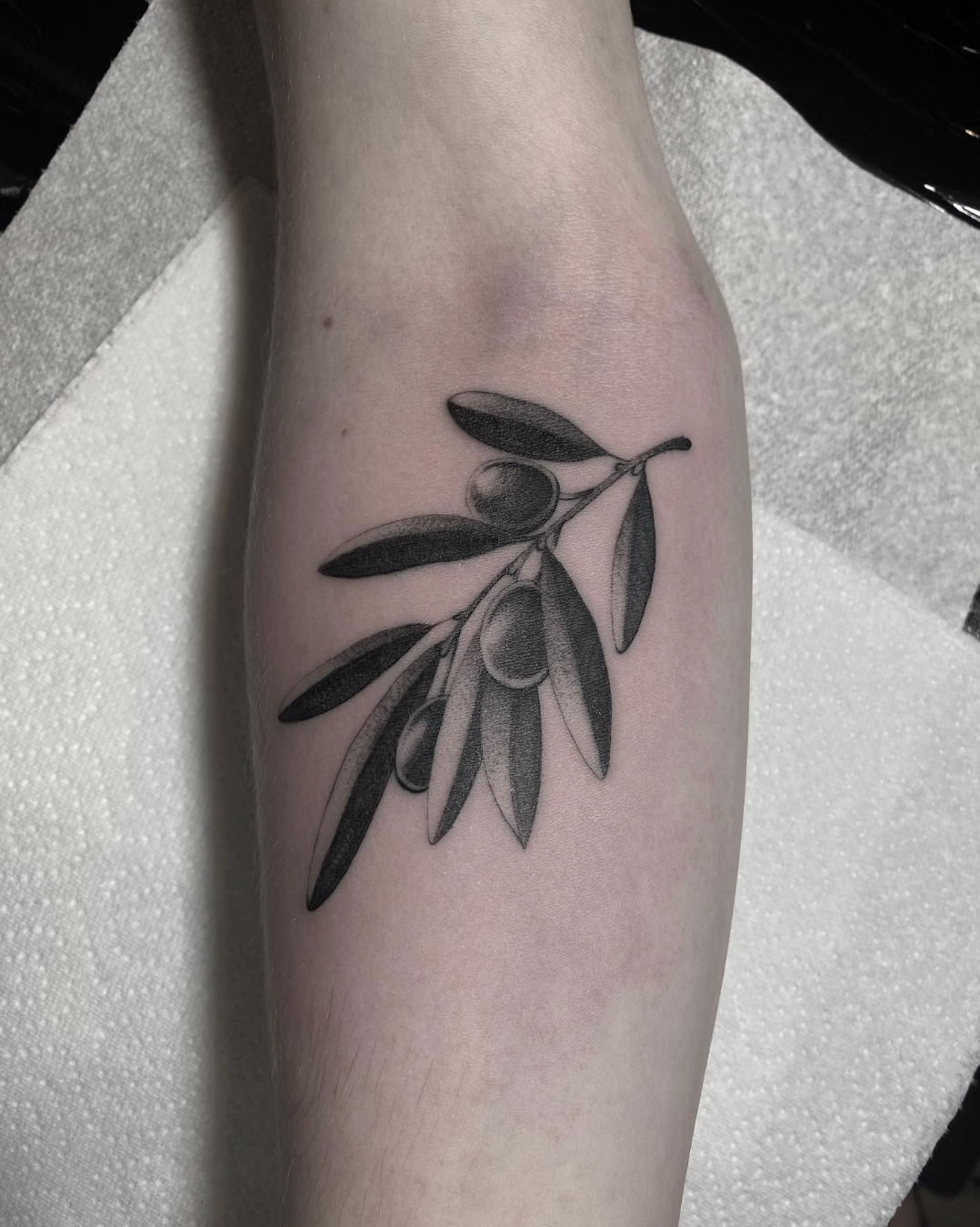 Black olive branch tattoo on a forearm with a few leaves and olives in grayscale.