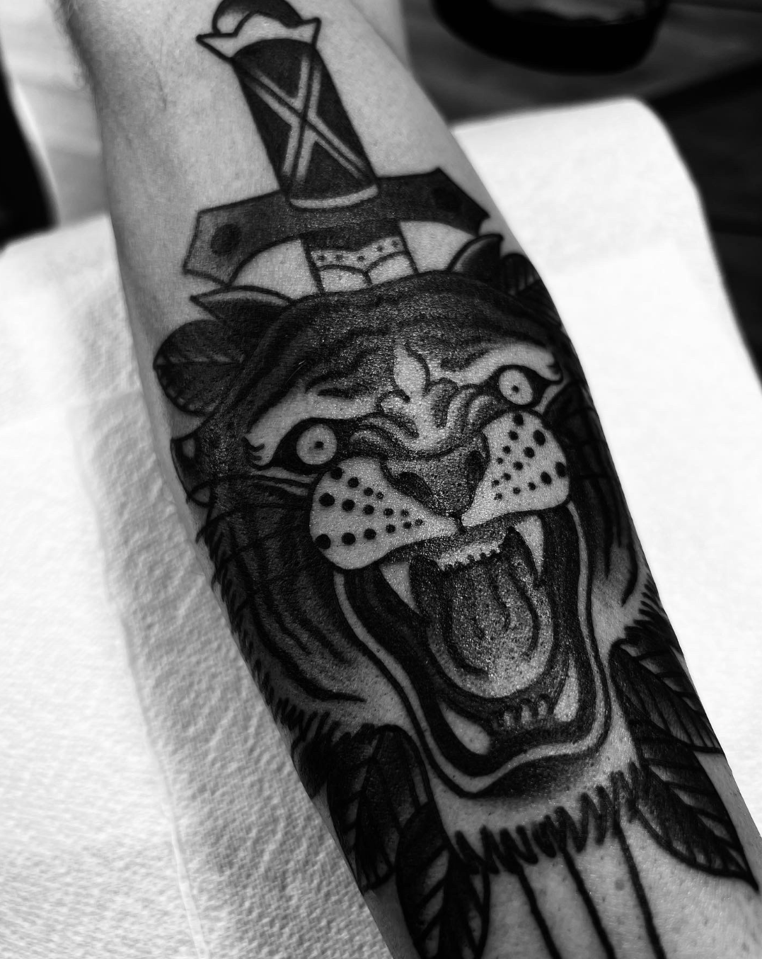 Black-and-white tattoo of a roaring tiger with a dagger above it on a forearm