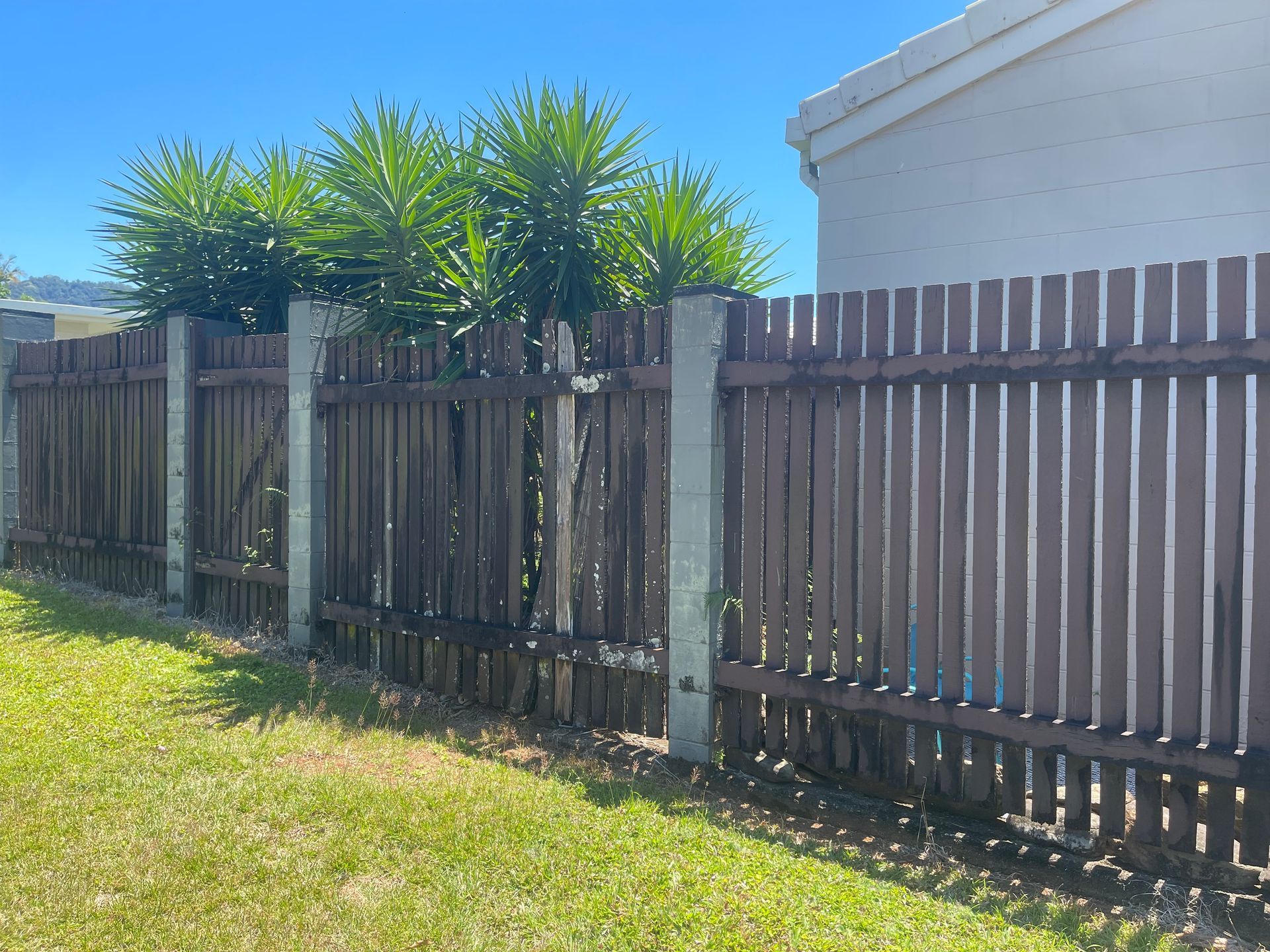 A fence surrounds a swimming pool with a waterfall in the background — Slim Fox Home Improvements in Mooroobool, QLD