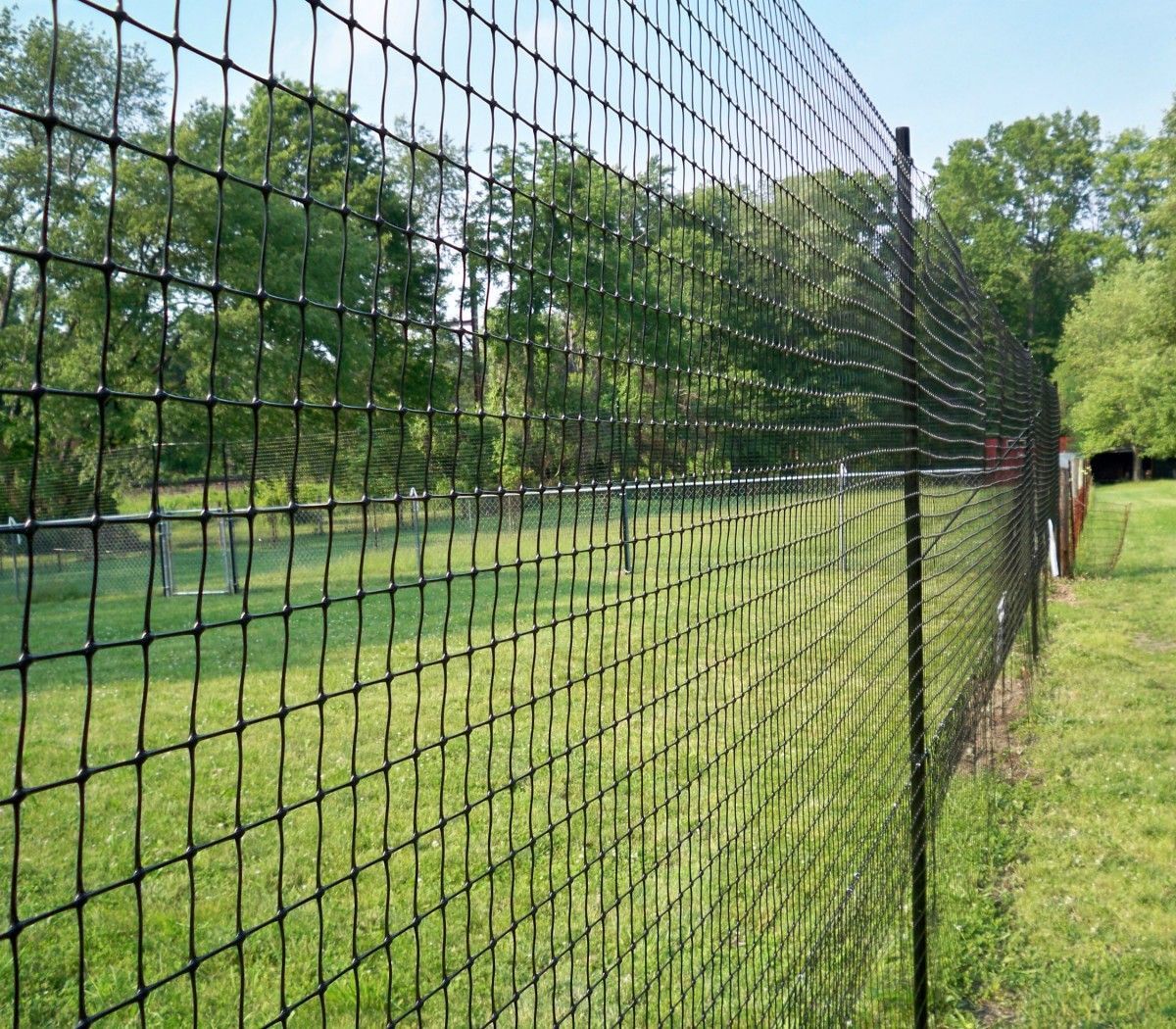 A black fence surrounds a grassy field with trees in the background.