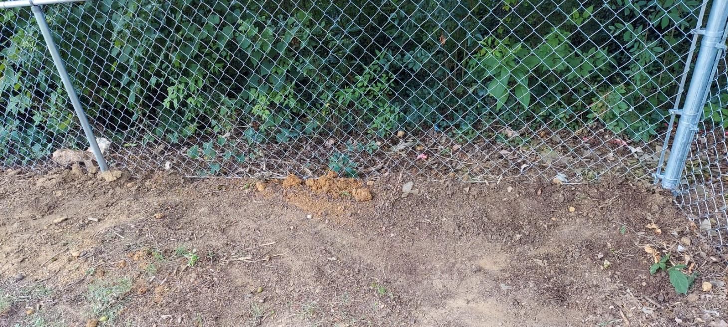 A chain link fence is surrounding a dirt area.