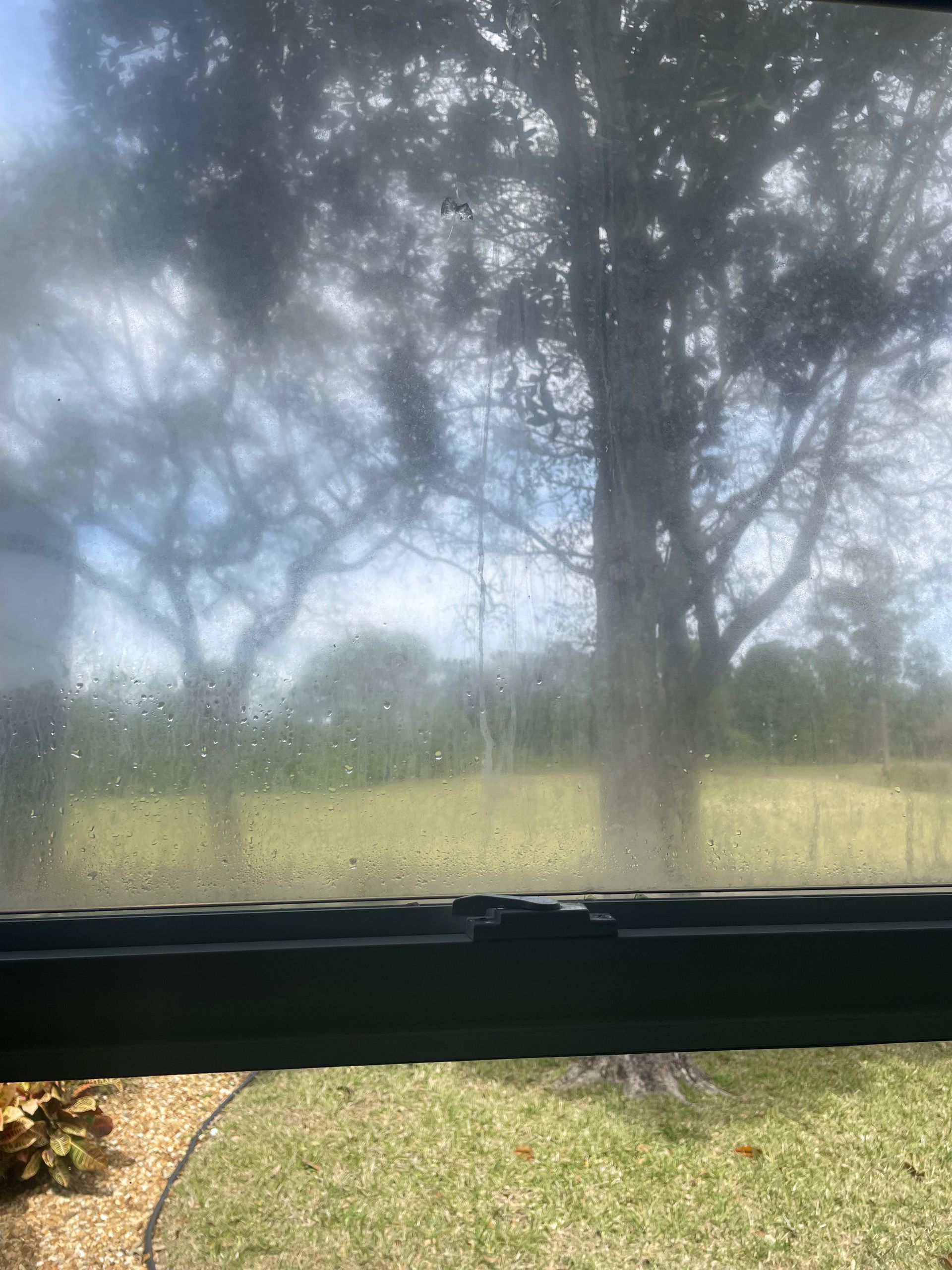 A window with a view of a field and trees.