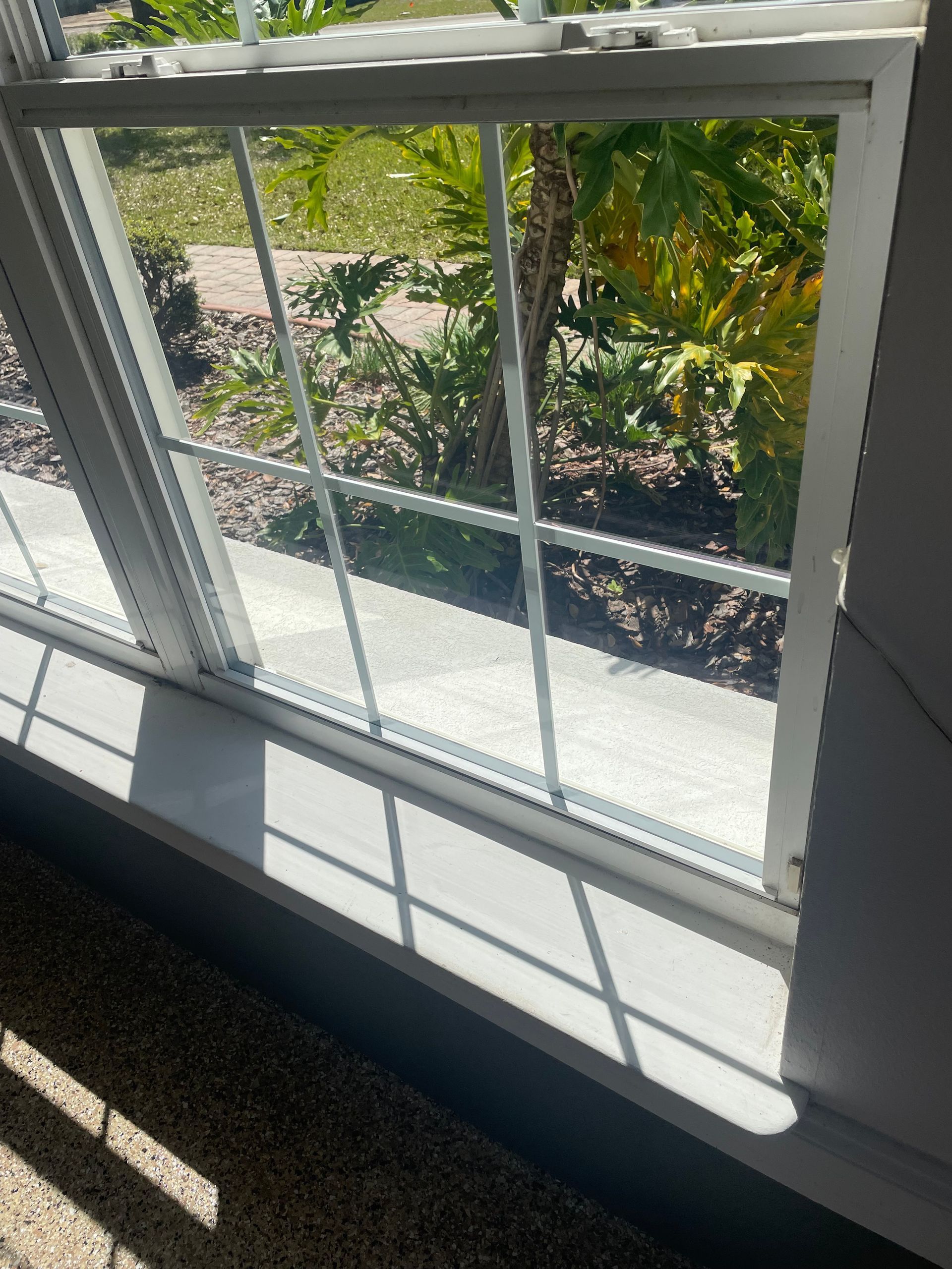 A window with a reflection of a garden in it.