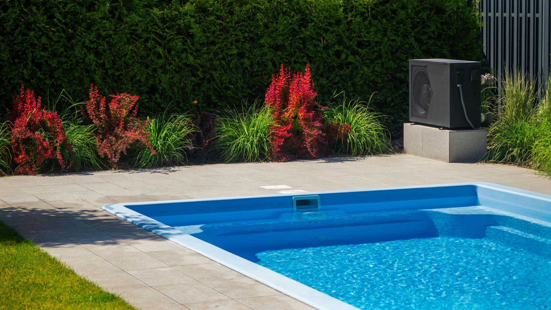 Piscine bleue avec escalier, terrasse en béton, pelouse verte, buissons rouges et pompe à chaleur noire.