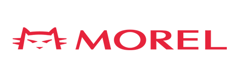 Morel