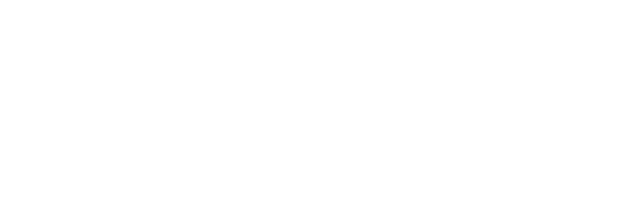 logo-image