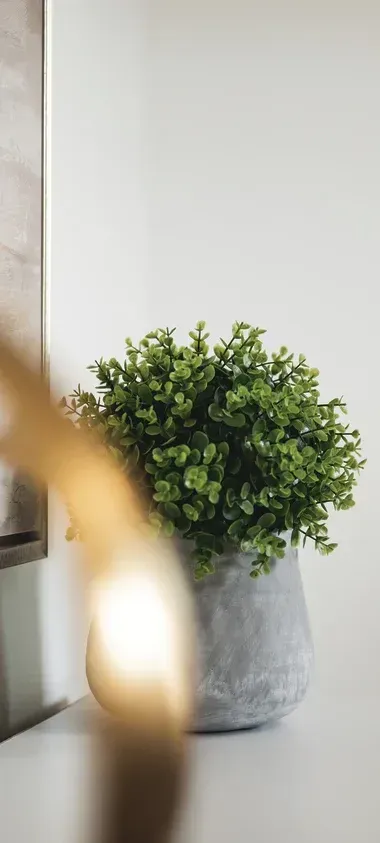 A potted plant is sitting on a table next to a candle.