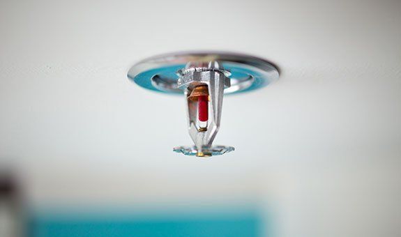 Fire Sprinkler Fire Sprinkler