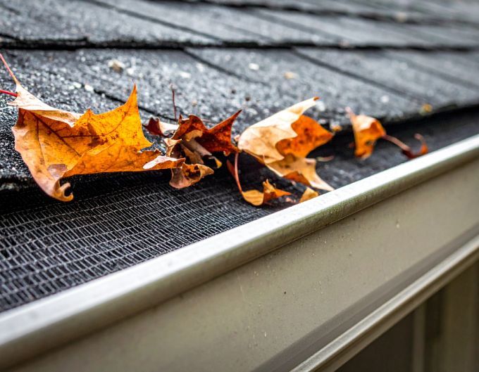Fallen autumn leaves on a black mesh gutter guard on a dark shingled roof and white gutter.