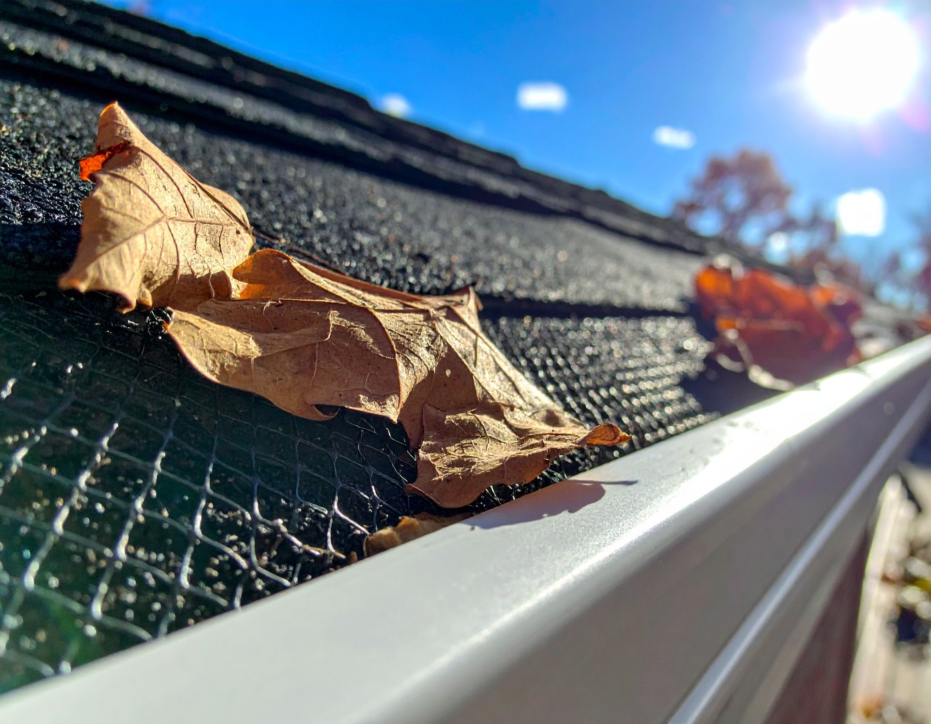 Dry autumn leaves caught in a black gutter guard along a white roofline in bright sunlight