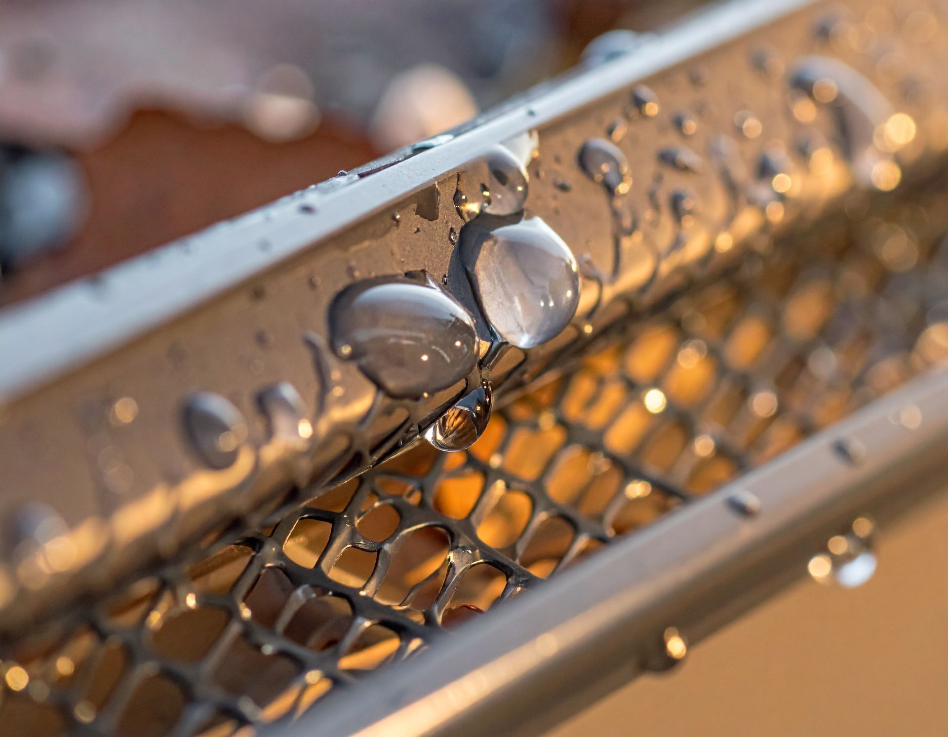 Close-up of water droplets on a metal mesh with warm sunlight reflections