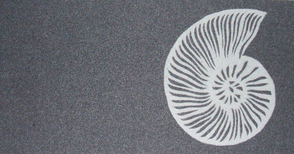 Illustrazione di una conchiglia a spirale bianca su uno sfondo grigio con texture.