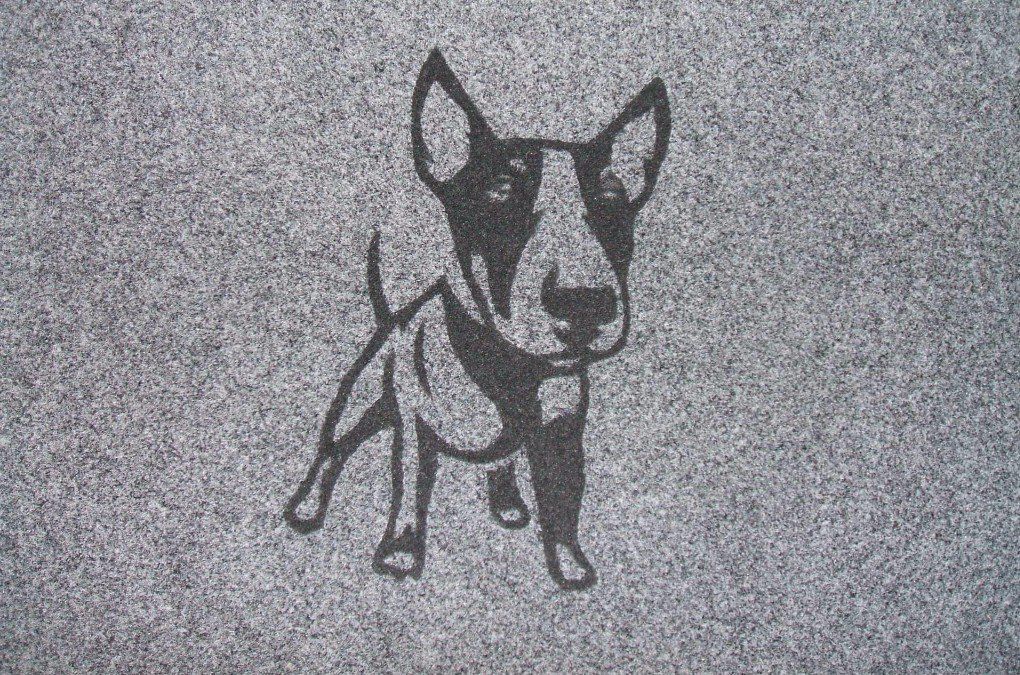 Illustrazione di un cane nero su sfondo grigio maculato, in piedi e rivolto in avanti.