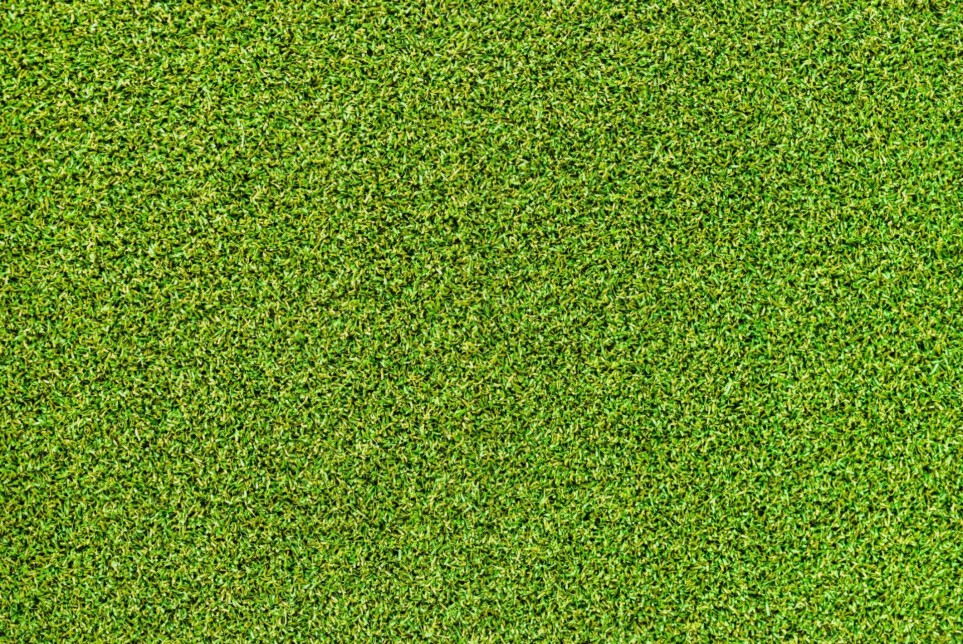 Un motivo astratto di rumore statico verde e giallo riempie l'inquadratura.