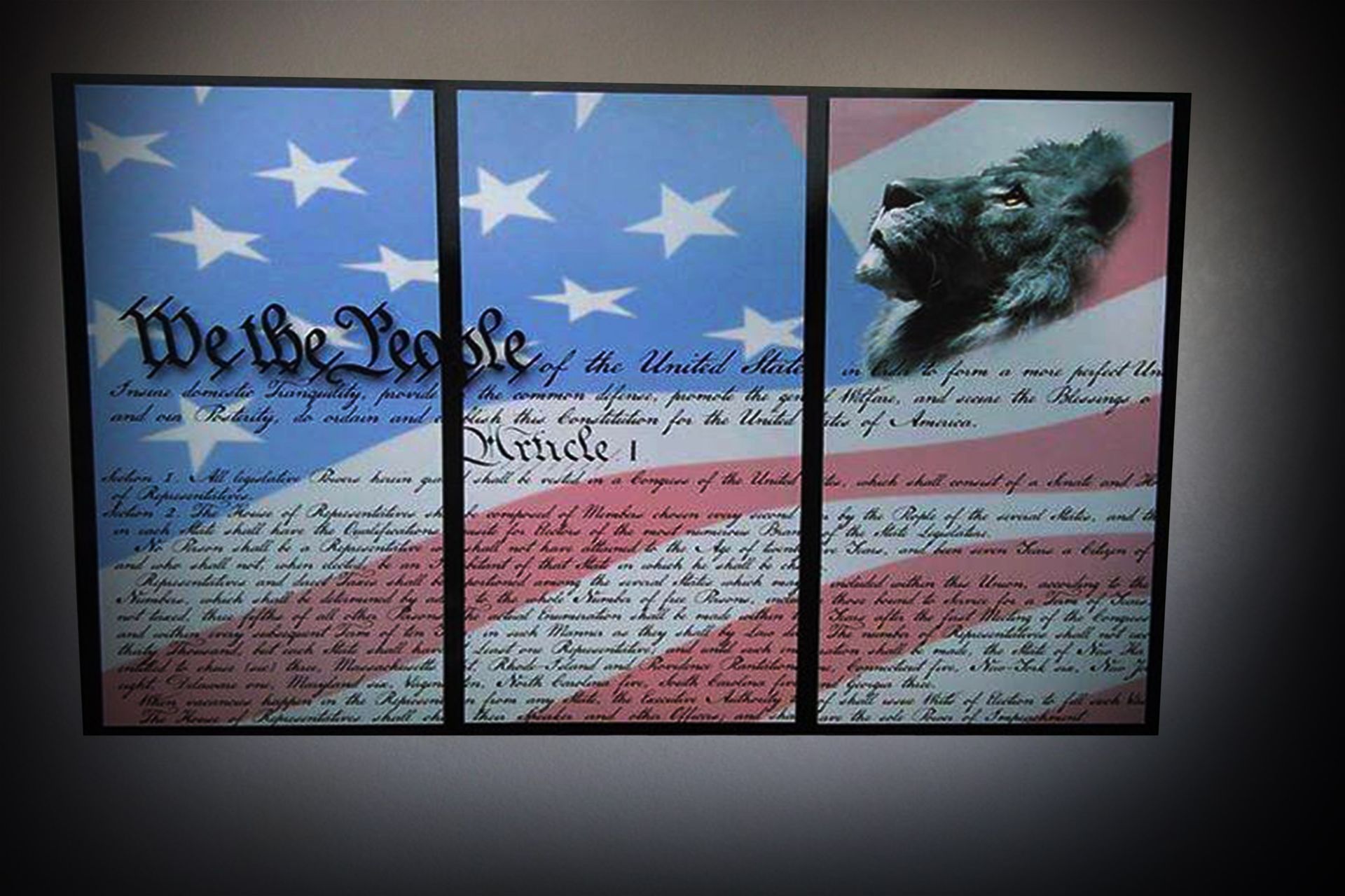 A triptych art piece featuring the U.S. Constitution, an American flag background, and a lion’s profile in the corner.