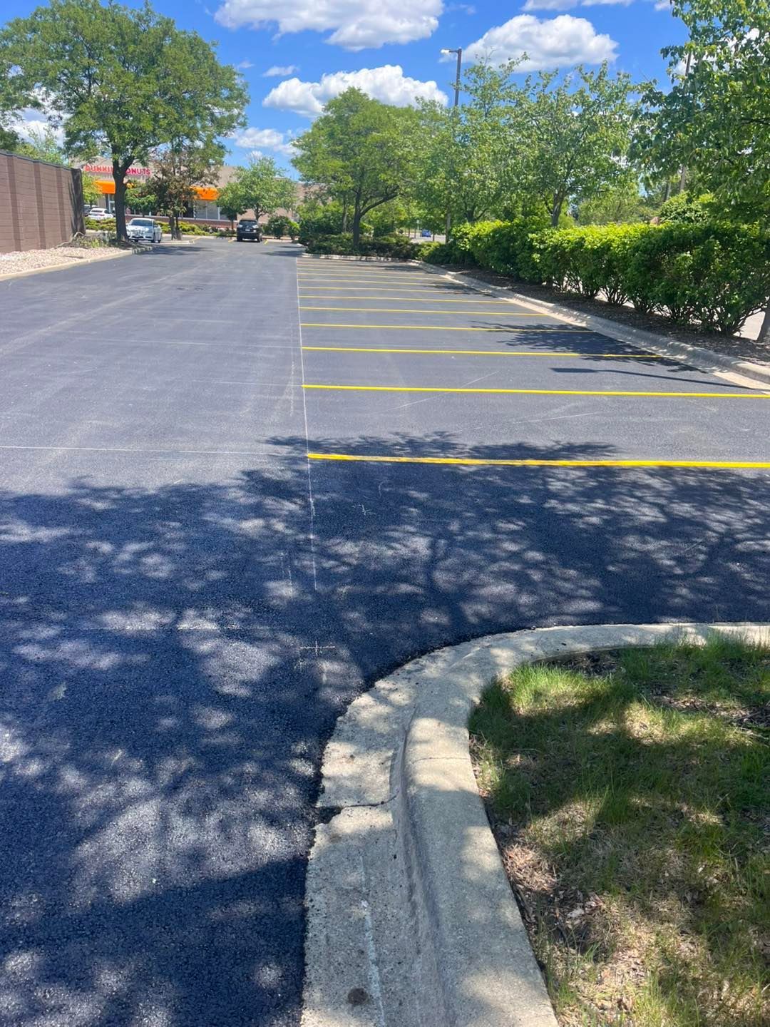 Empty parking lot with yellow lines, trees, and curb under a sunny blue sky