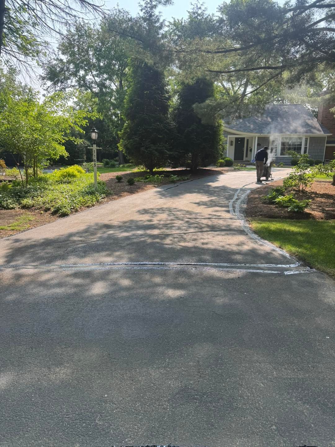 Tree-lined driveway leading to a white house with a person near the entrance