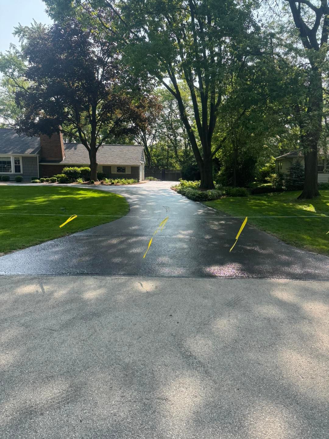 Curved driveway in a leafy yard, with sunlit tree shadows and a house in the background.