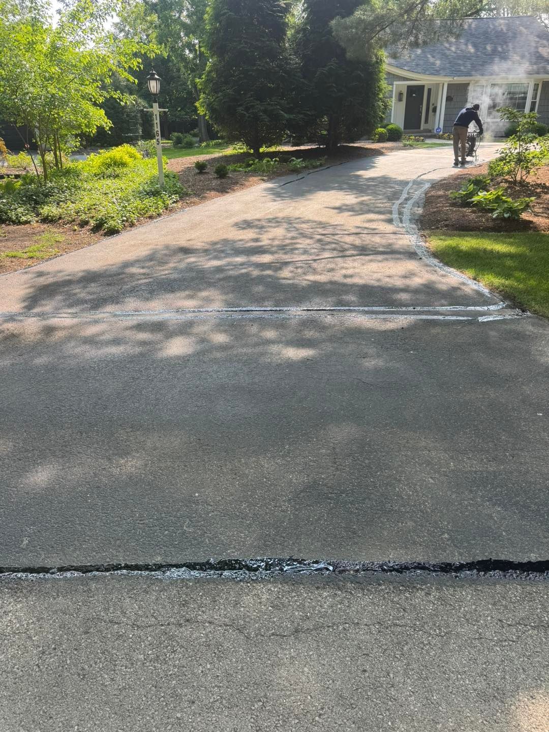 Cracked driveway leading to a house, with trees and garden beds on both sides.