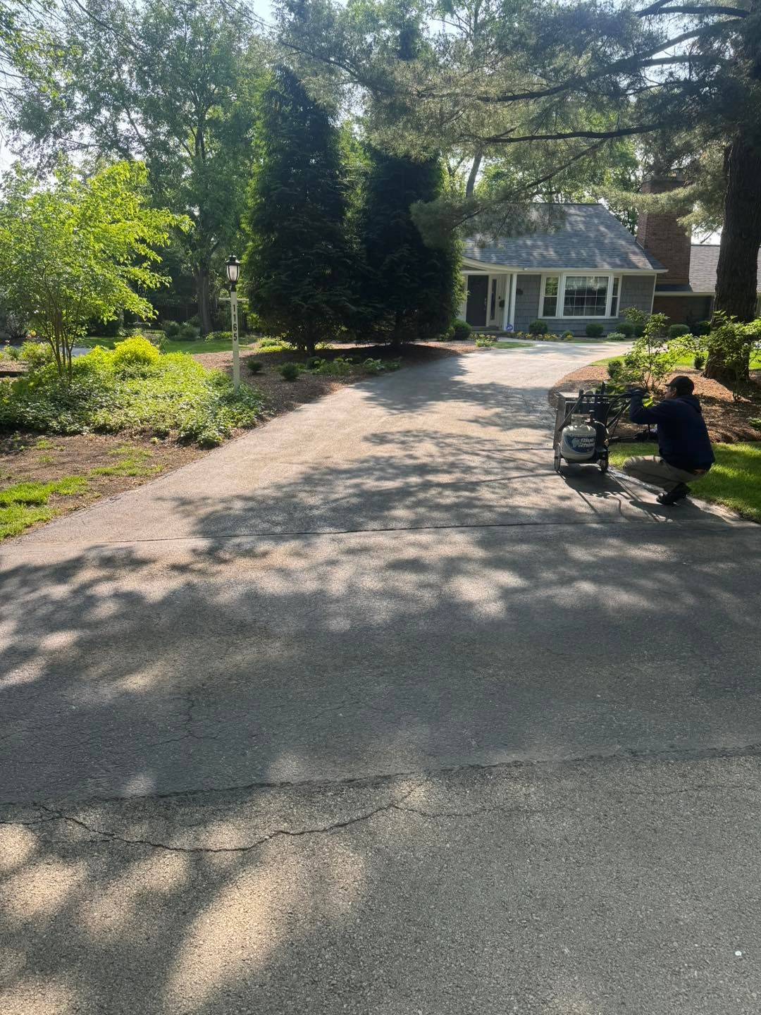 Tree-lined driveway leading to a house, with a person sitting near a parked golf cart on the right