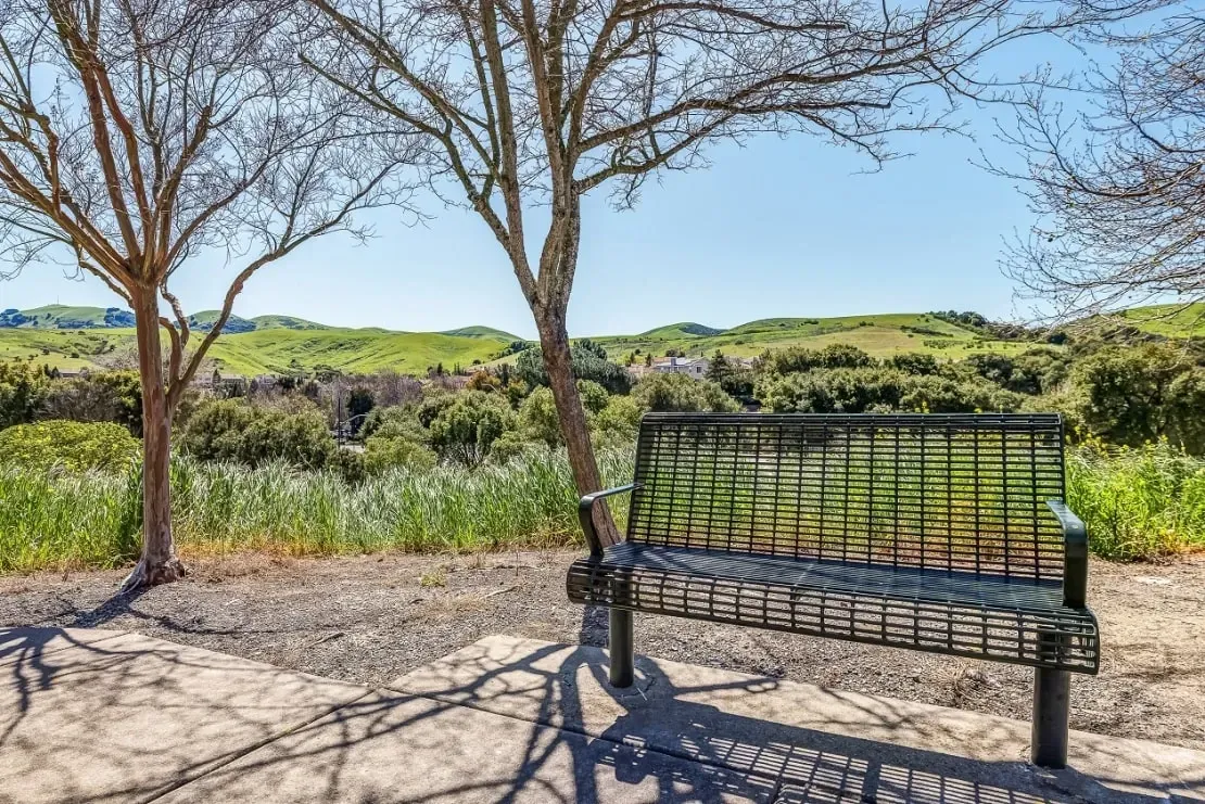 Bench overlooking a scenic landscape with rolling green hills.
