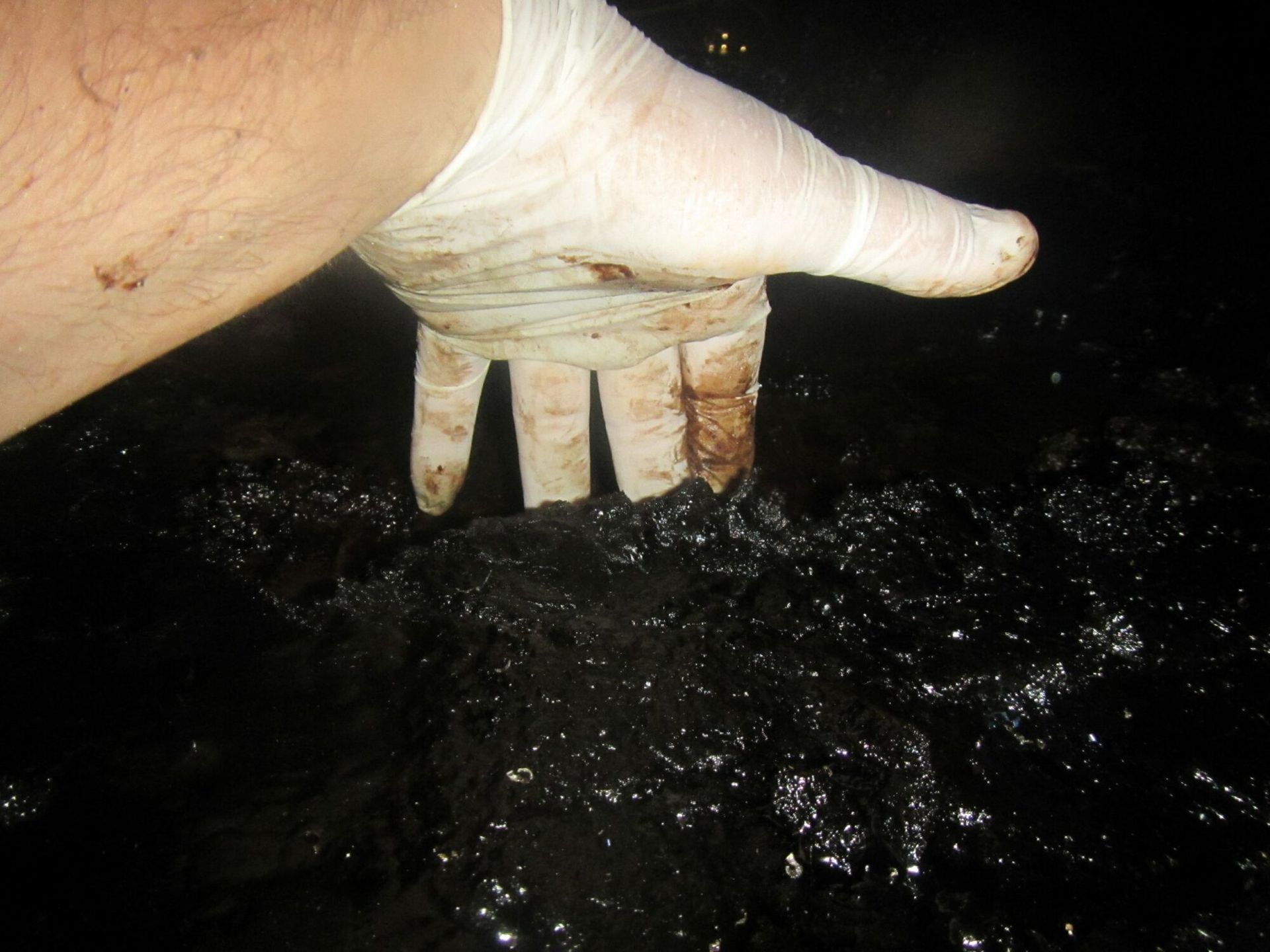 A Person Wearing a White Glove Is Pointing at Something | S. Glens Falls, NY | Performance Industrial