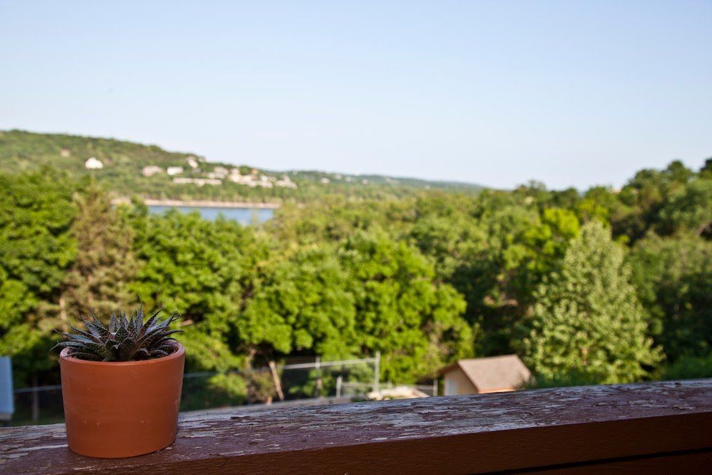 Potted succulent on a wooden balcony railing overlooking green trees and a distant lake
