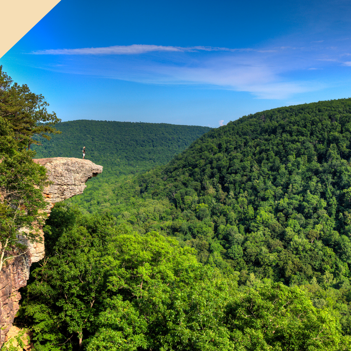 Vibrant green forest fills a valley beneath a blue sky. A person stands on a cliff's edge.
