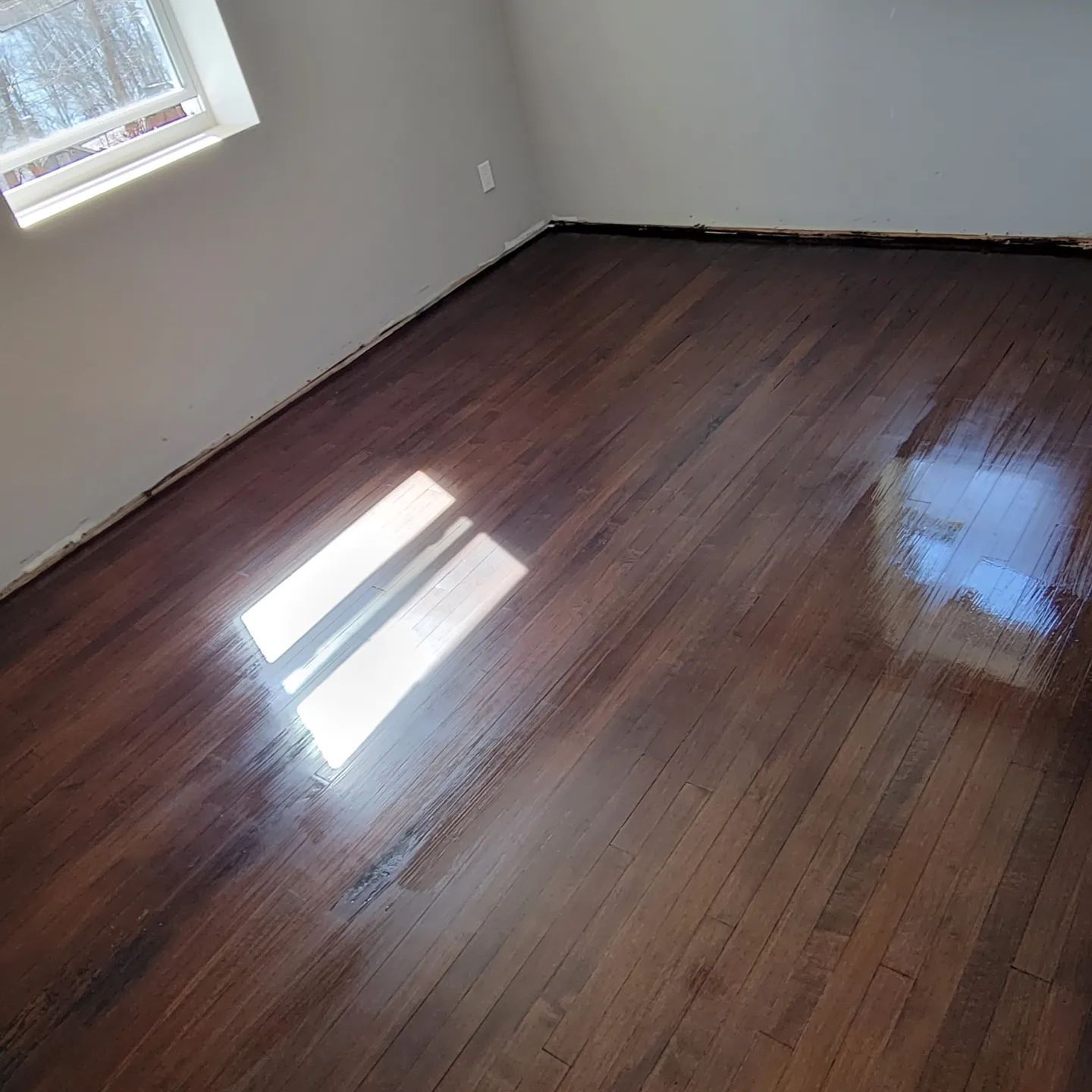 Dark-stained hardwood floors in an empty, sunlit room with gray walls and a single window.