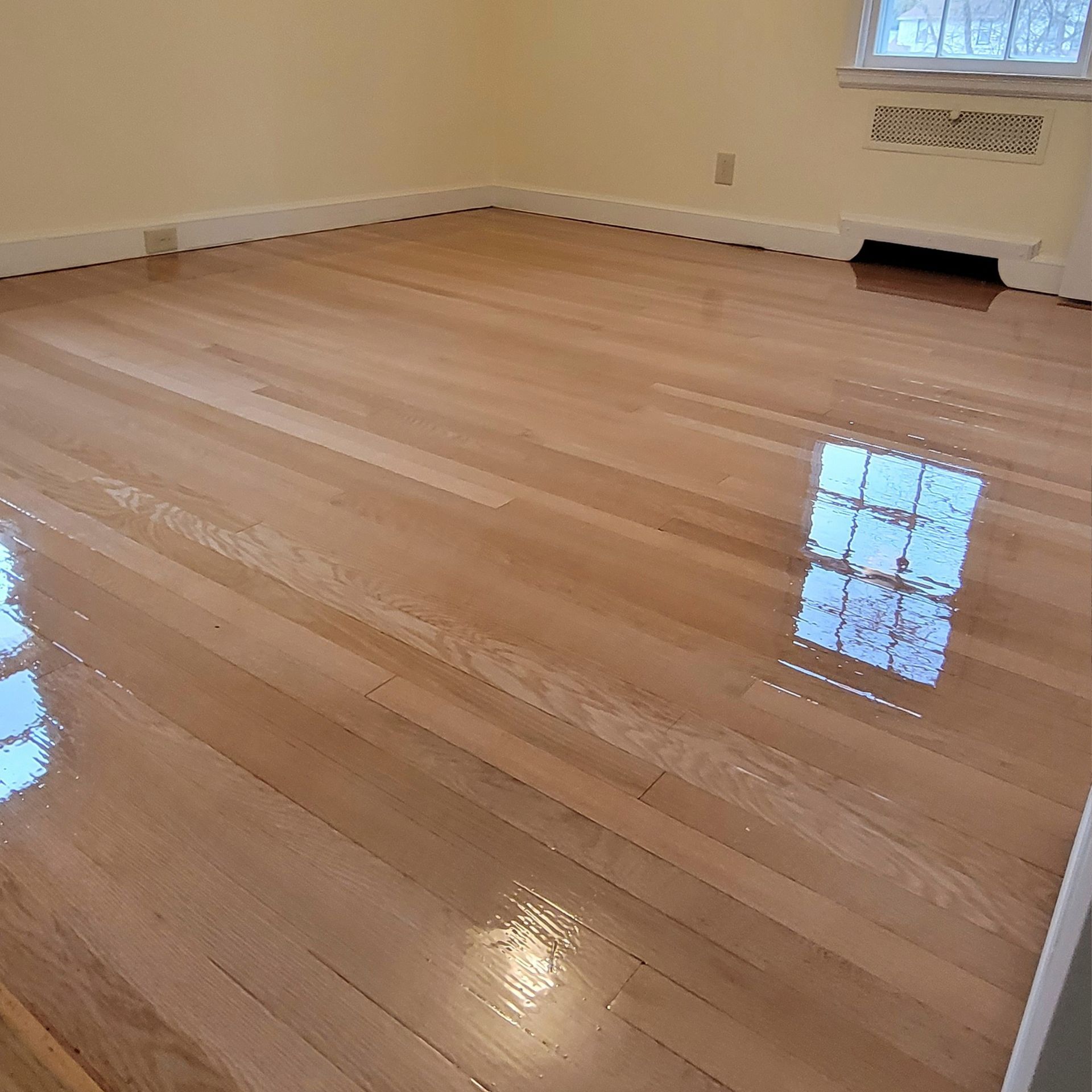 Light-colored, glossy hardwood flooring in an empty room with white baseboards and a window reflection.