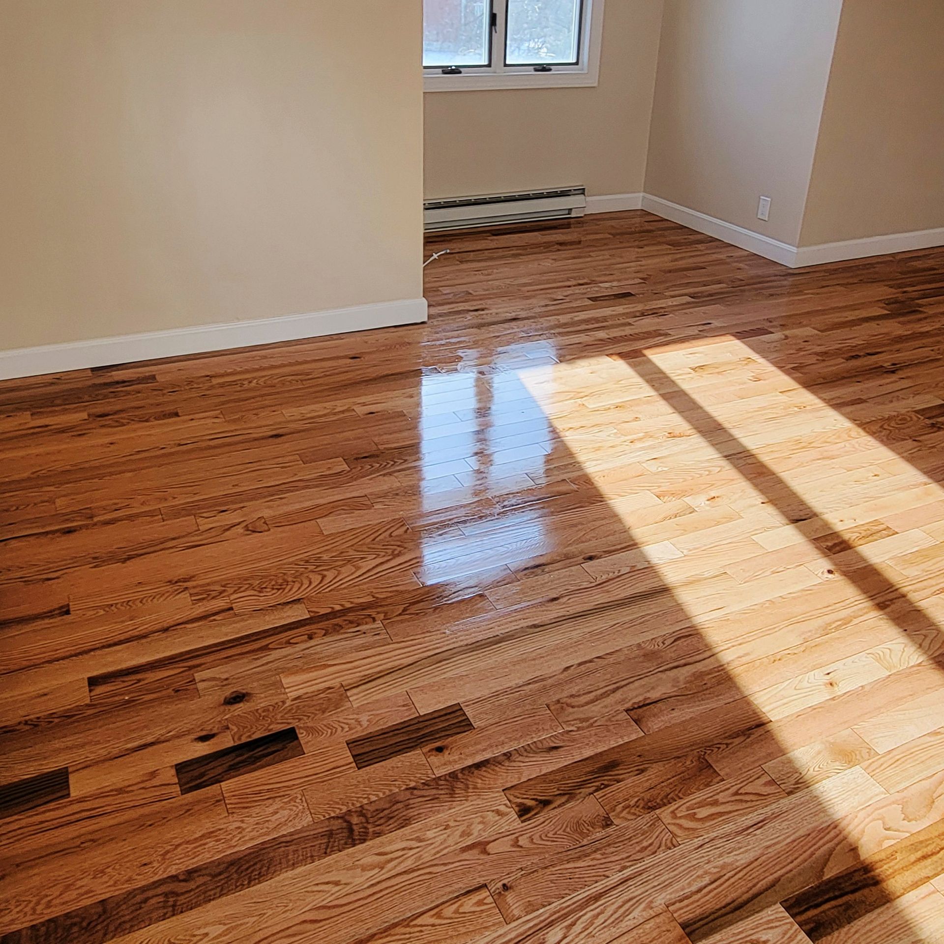 Polished hardwood floor in a room with light beige walls and sunlight streaming in from a window.
