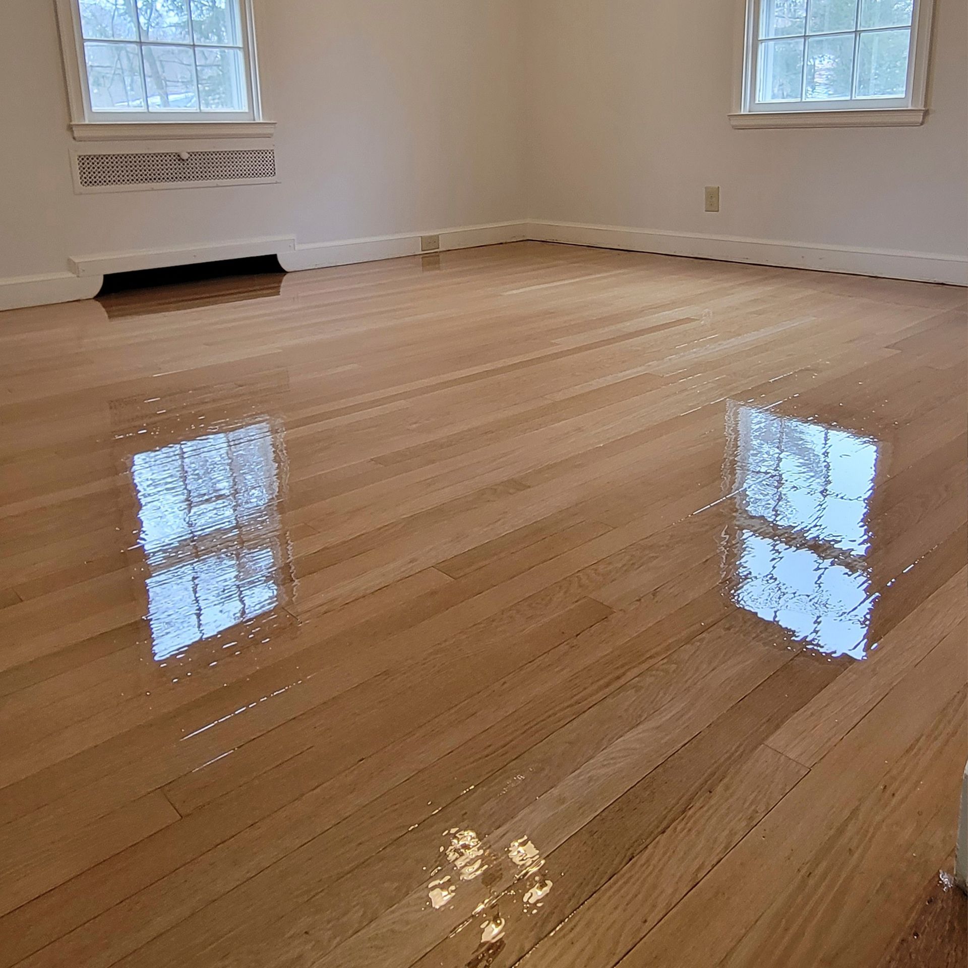 Freshly refinished, light-colored hardwood floor in an empty room, reflecting two windows and a chandelier.
