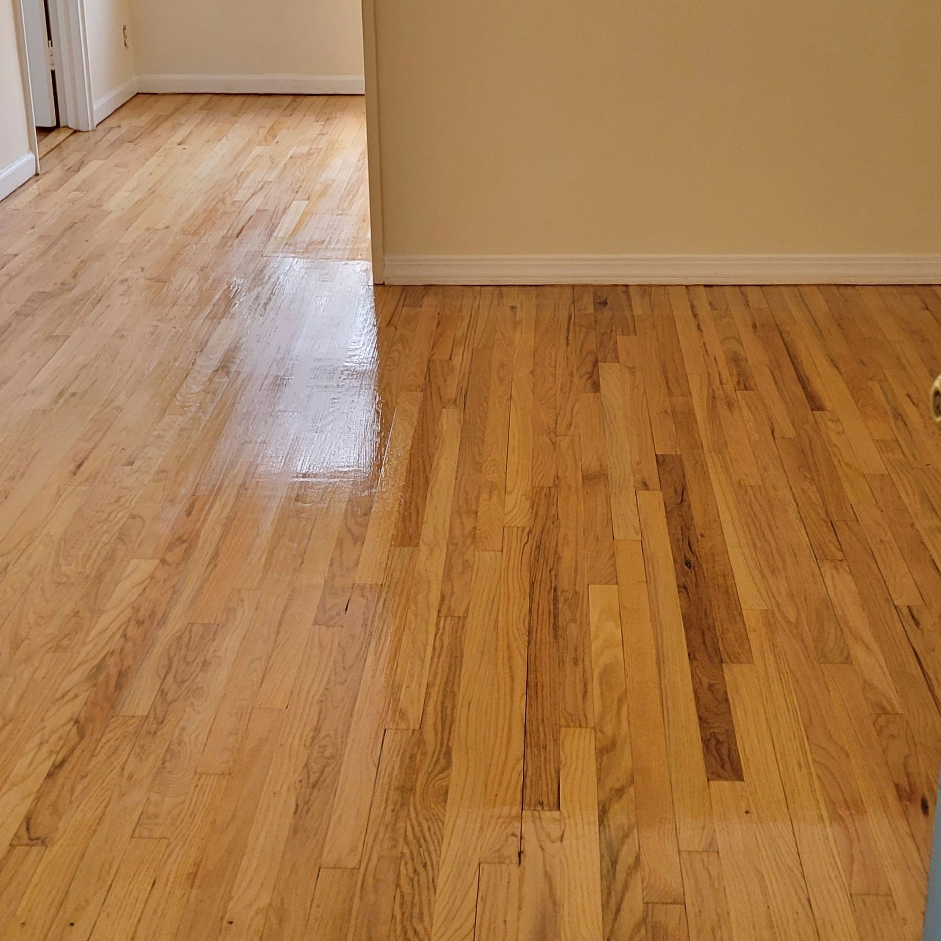 Freshly finished hardwood floors in light brown tones, featuring a visible glossy patch where light reflects on the wood.