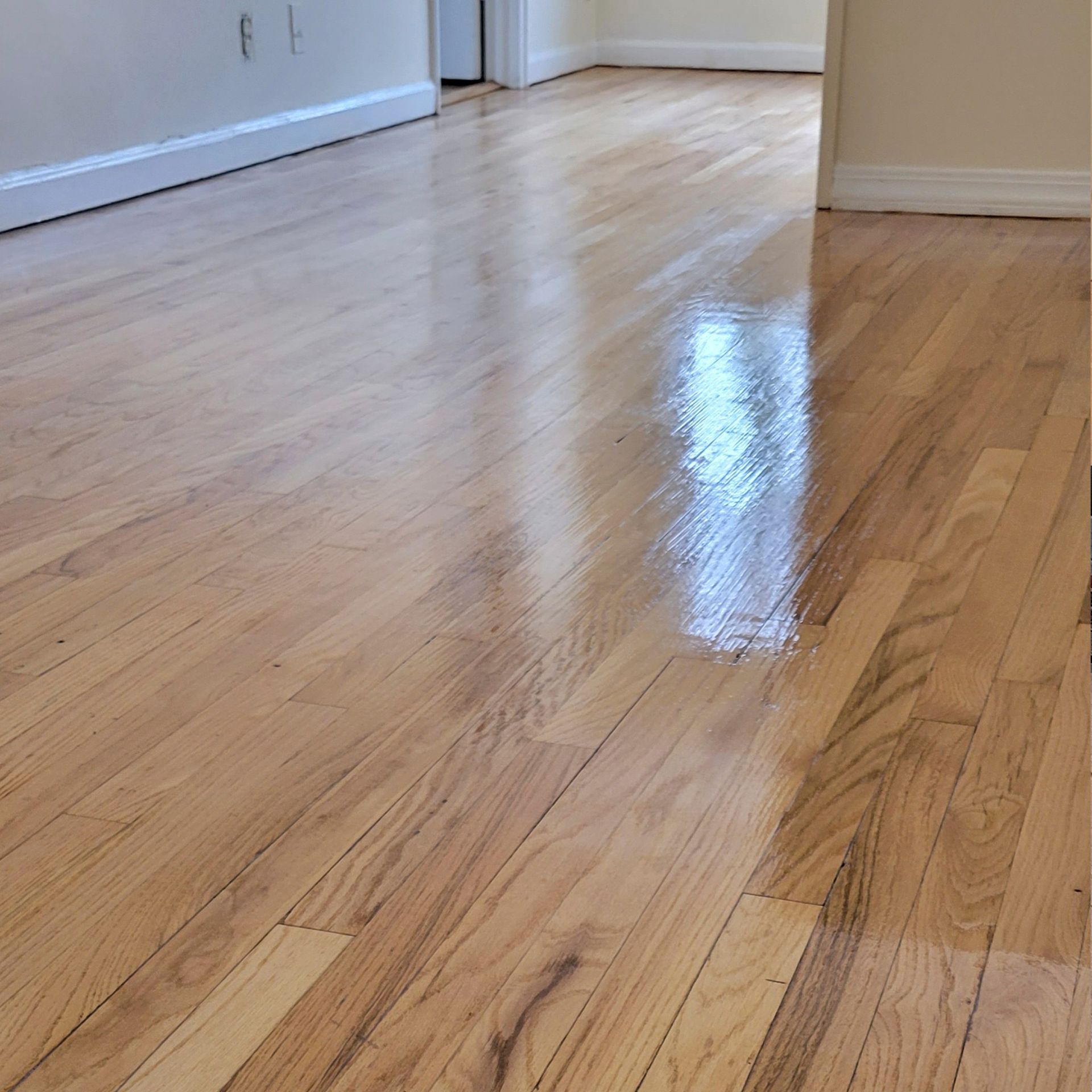 A room with polished, light-toned hardwood floors that reflect light, with baseboards visible along the walls.