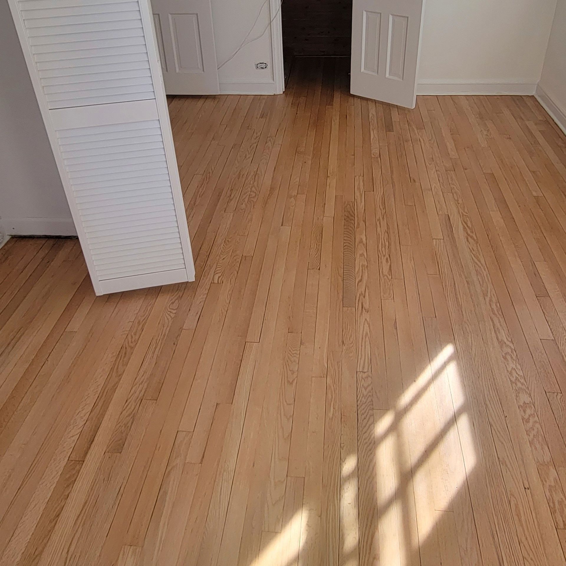 Light-colored hardwood flooring in a room with white paneled doors and sunlight streaming across the floor.