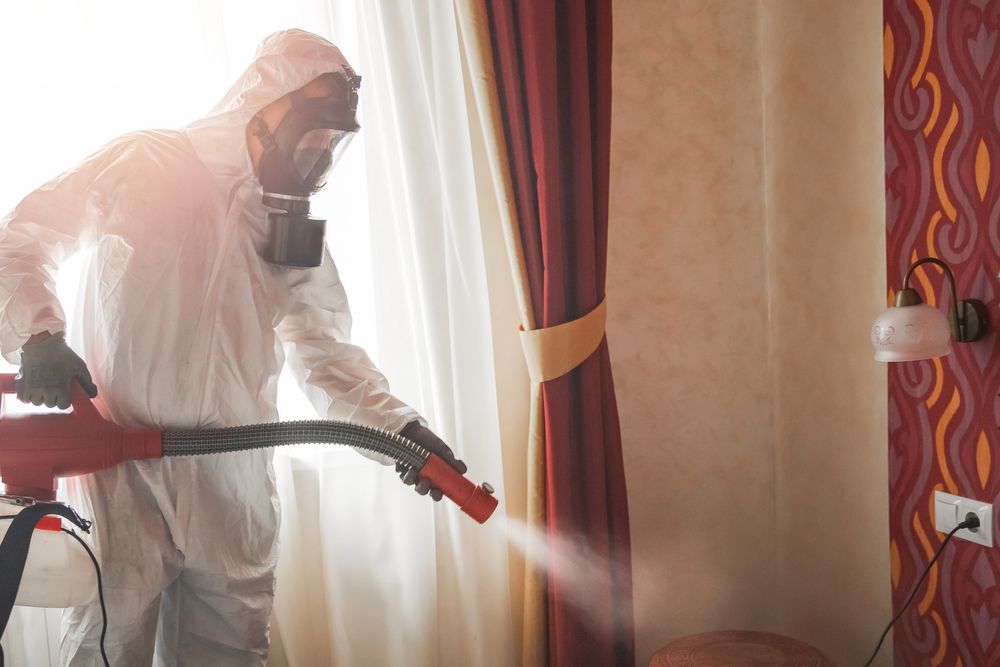 A Man in A Protective Suit is Disinfecting a Room with a Sprayer — Port O' Call Cleaning In Cannon Valley, QLD