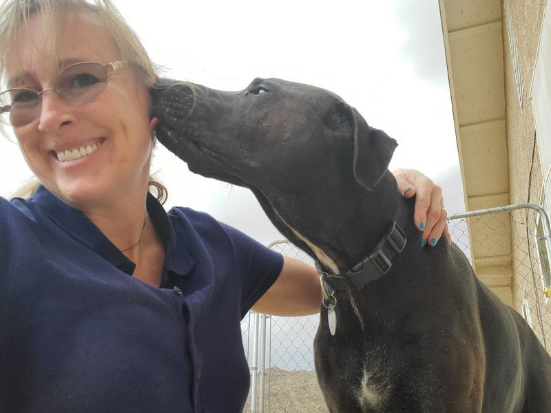A woman is kissing a black dog on the nose