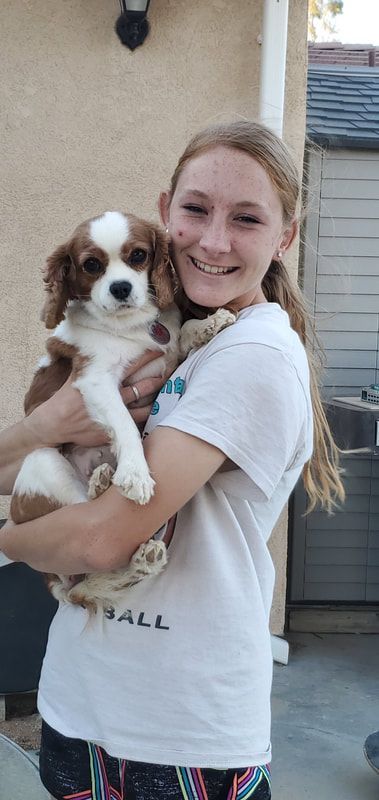 A girl is holding a brown and white puppy in her arms.