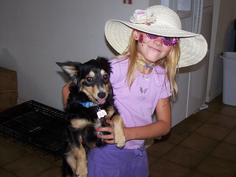 A little girl wearing a hat and sunglasses is holding a small dog