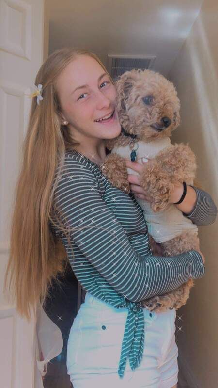 A young girl is holding a small brown dog in her arms.