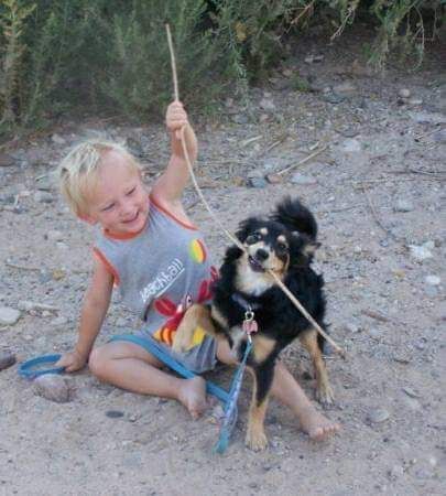 A little boy is sitting on the ground with a dog on a leash.