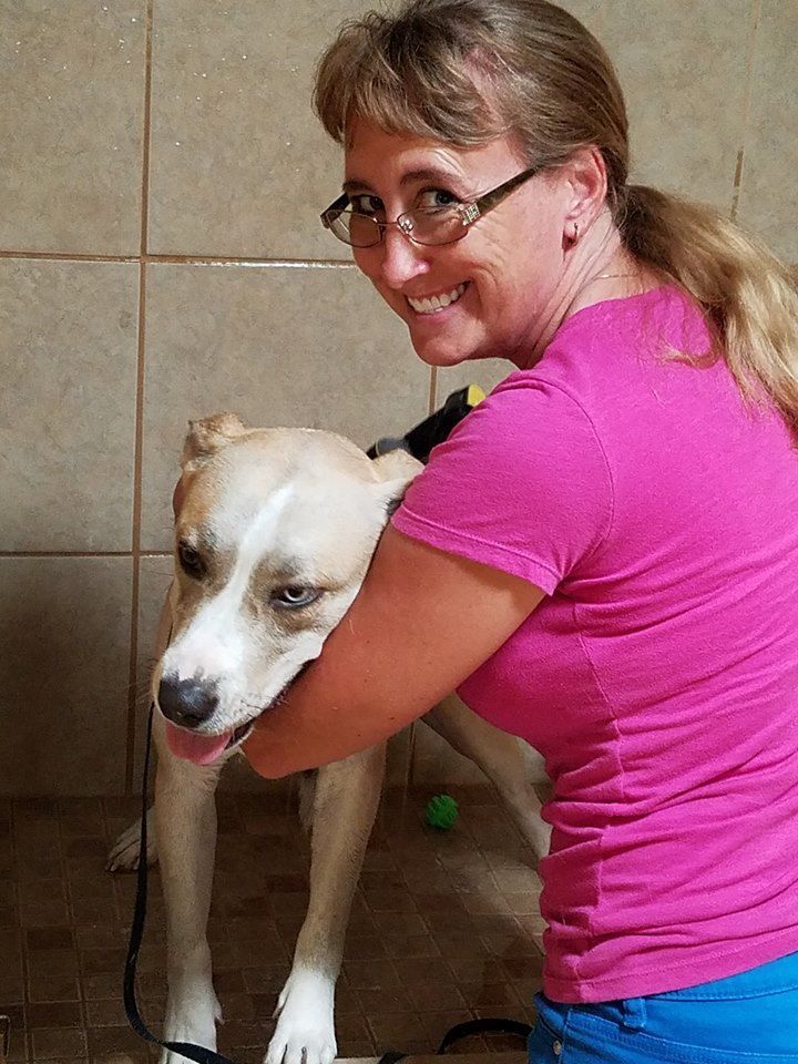 JT pet resort visitors