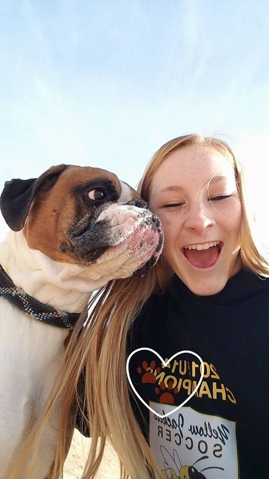 JT pet resort visitors